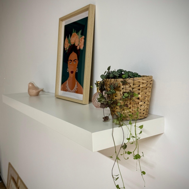 Mon cabinet, vue sur l'étagère de Frida Kahlo