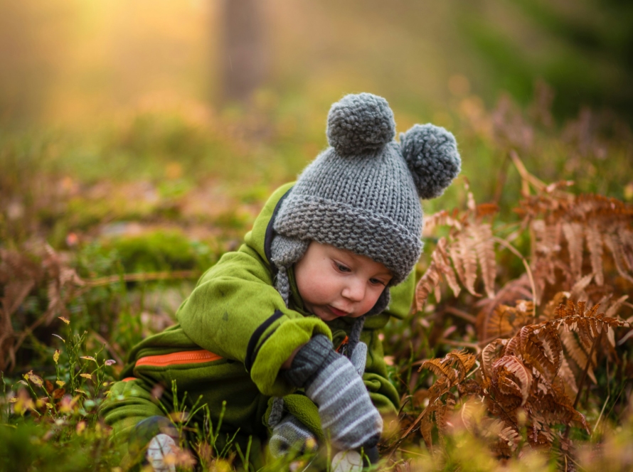 Jeune enfant explorant calmement son environnement naturel, illustrant la sécurité, le cadre et les besoins éducatifs fondamentaux du développement de l’enfant.